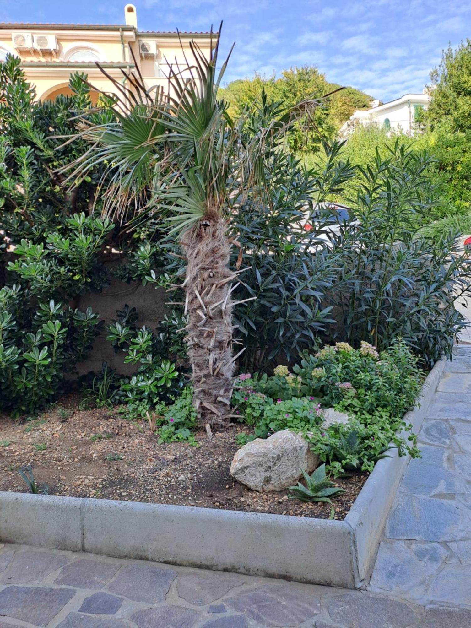 באסקה Apartment Kricin חדר תמונה
